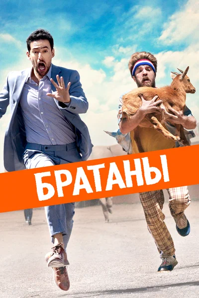 Постер: Сводные братья